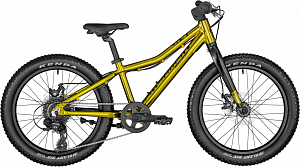Купить Велосипед Bergamont Bergamonster 20 Plus Boy - mirror gold (shiny)