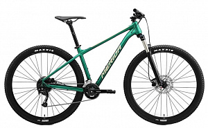 Купить Гірський велосипед Merida Big.Nine 100-2X Matt Green (Champage)
