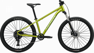 Купить Merida Big.Seven 20 Fall Green(silver green) - велосипед гірський