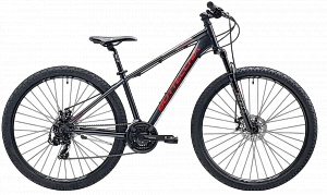 Купить Горный велосипед Bottecchia 29" 109 antracite