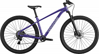 Горный велосипед Cannondale Trail 2 blue Купить Горный велосипед Cannondale Trail 2 blue