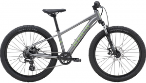 Купить Подростковый велосипед Bayview Trail 24 grey